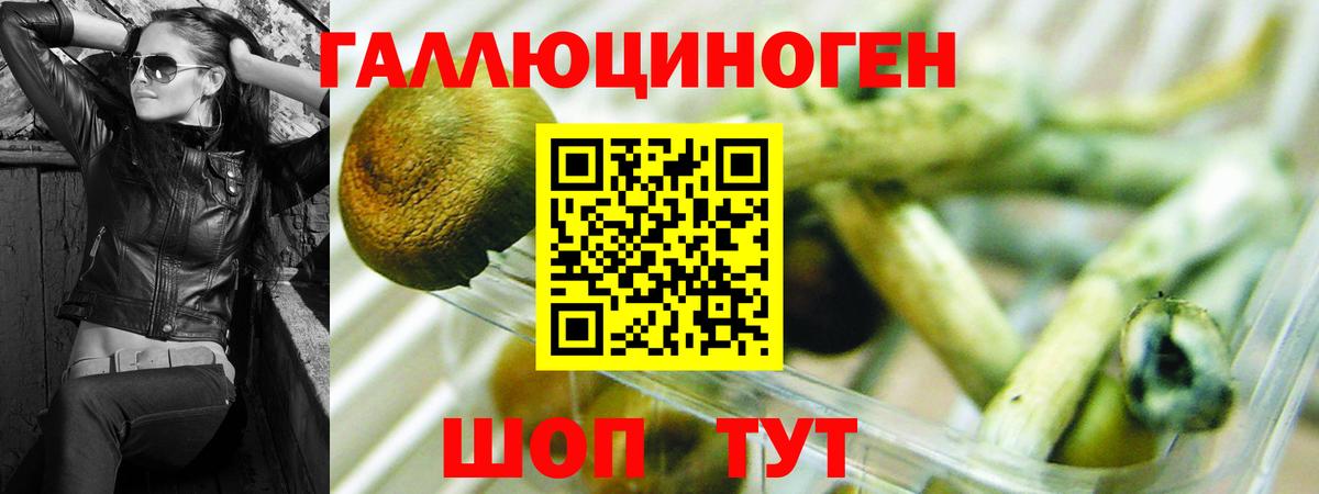 Псилоцибиновые грибы Psilocybine cubensis  Галлюциногенные грибы Psilocybe  Вход с VPN  Шелехов 